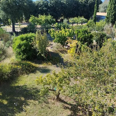 Appartamentomatamalo Apartment Sassari